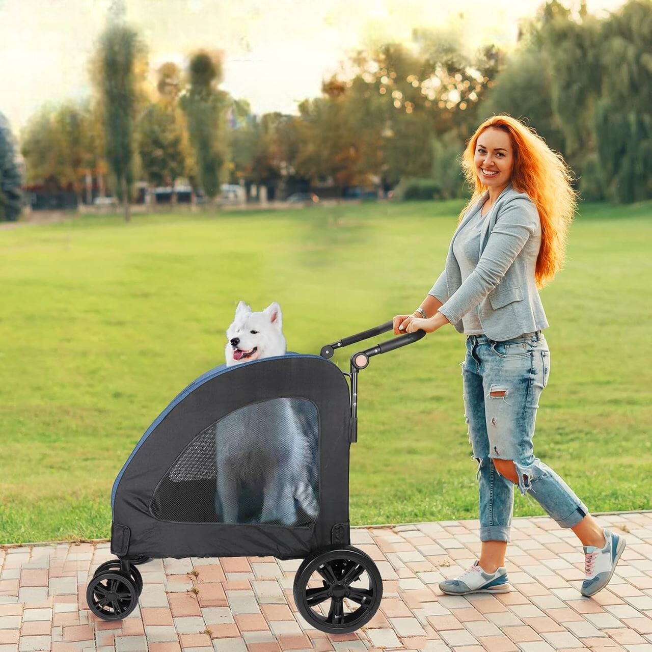 Poussette pour Chien - StrollyPet™ - Bleu - Toutou trop chou