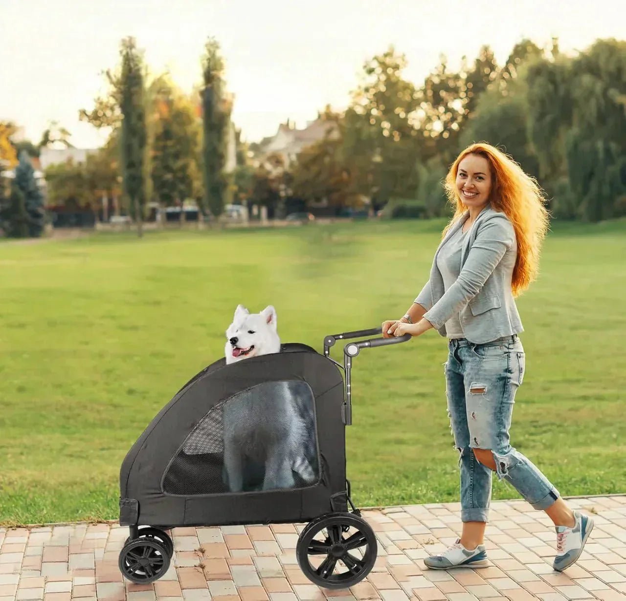 Poussette pour Chien - StrollyPet™ - Noir - Toutou trop chou