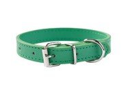 Collier chien | Robuste & Confort - Toutou Trop Chou