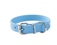 Collier chien | Robuste & Confort - Toutou Trop Chou