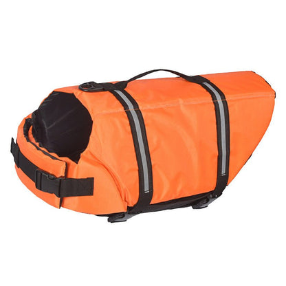 gilet sauvetage chien orange presentation