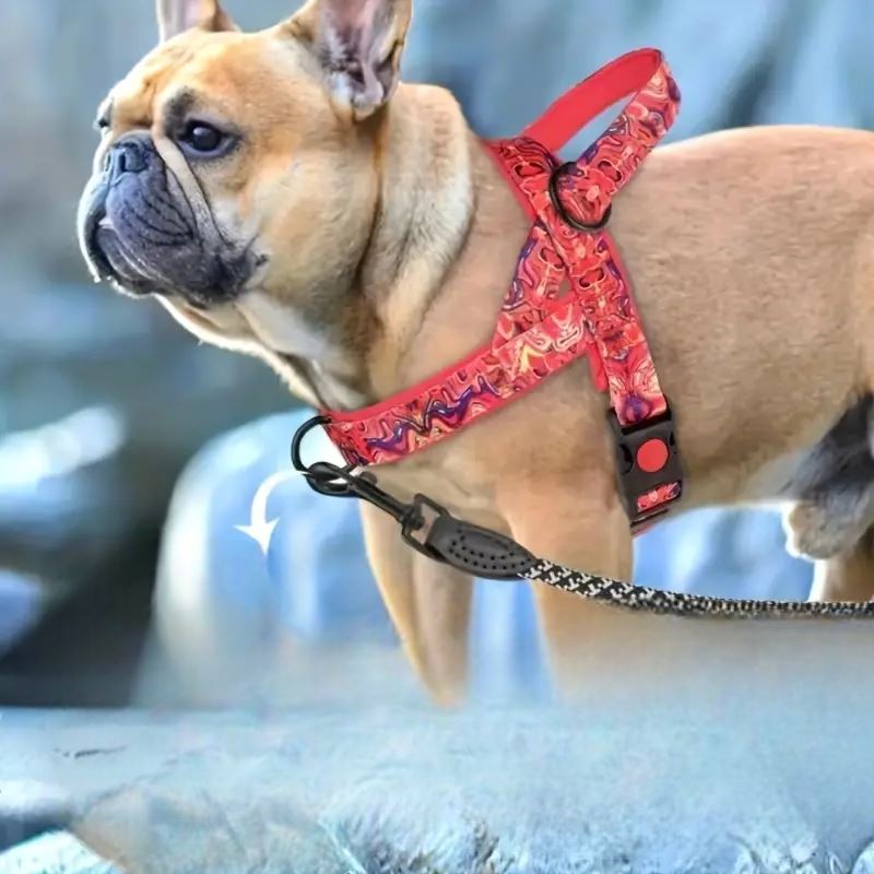 Harnais pour Chien - DogSafeHarness™ - Rouge - Toutou trop chou