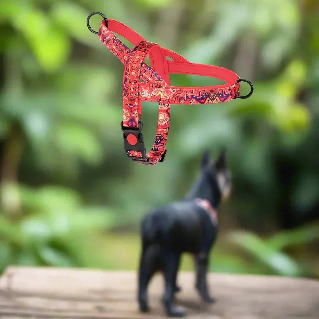 Harnais pour Chien - DogSafeHarness™ - Rouge - Toutou trop chou