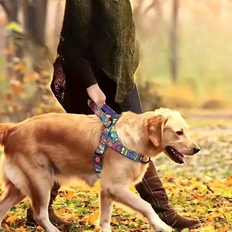 Harnais pour Chien - DogSafeHarness™ - Violet - Toutou trop chou
