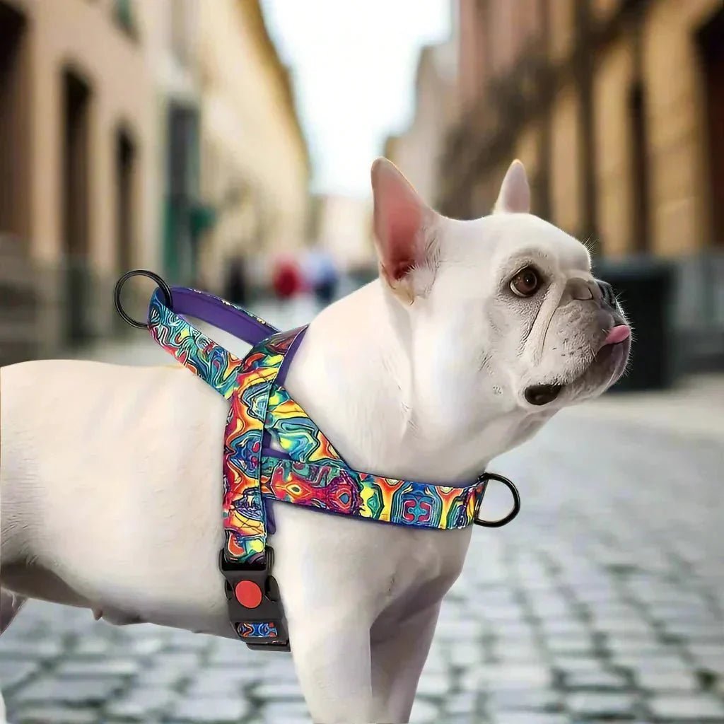 Harnais pour Chien - DogSafeHarness™ - Violet - Toutou trop chou