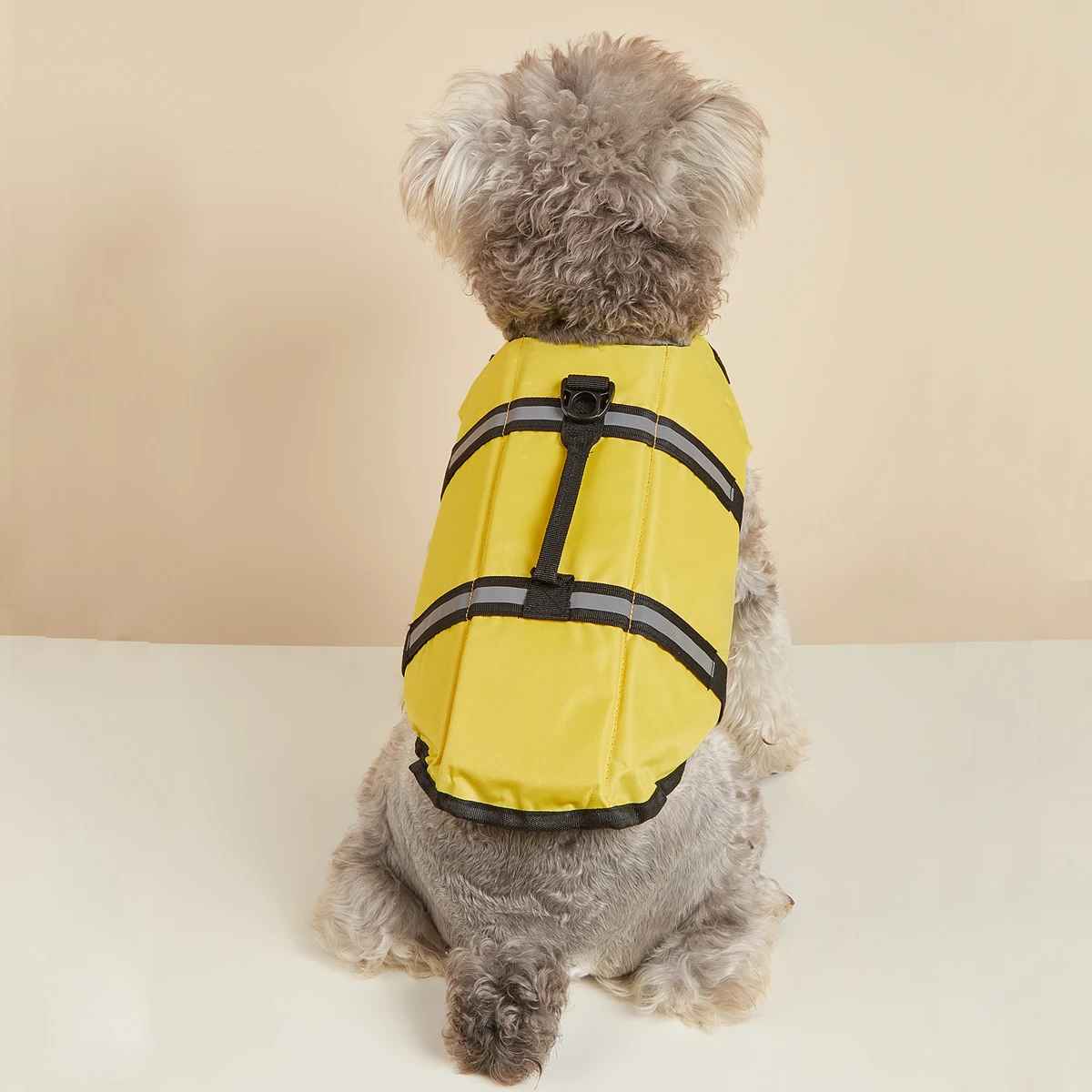 petit chien gilet sauvetage jaune dos