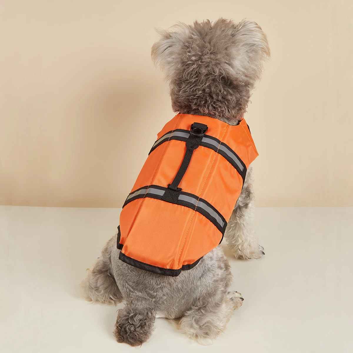 petit chien gilet sauvetage orange dos