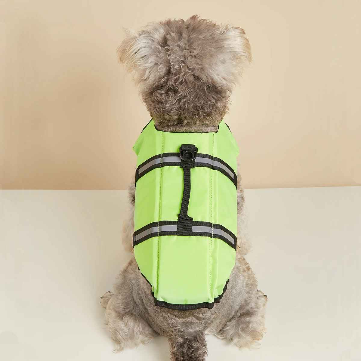petit chien gilet sauvetage vert dos