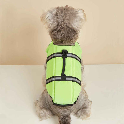 petit chien gilet sauvetage vert dos
