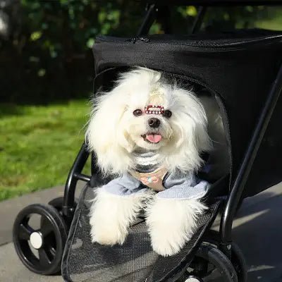 Poussette pour Chien - PetStroller™ - Noir - Toutou trop chou